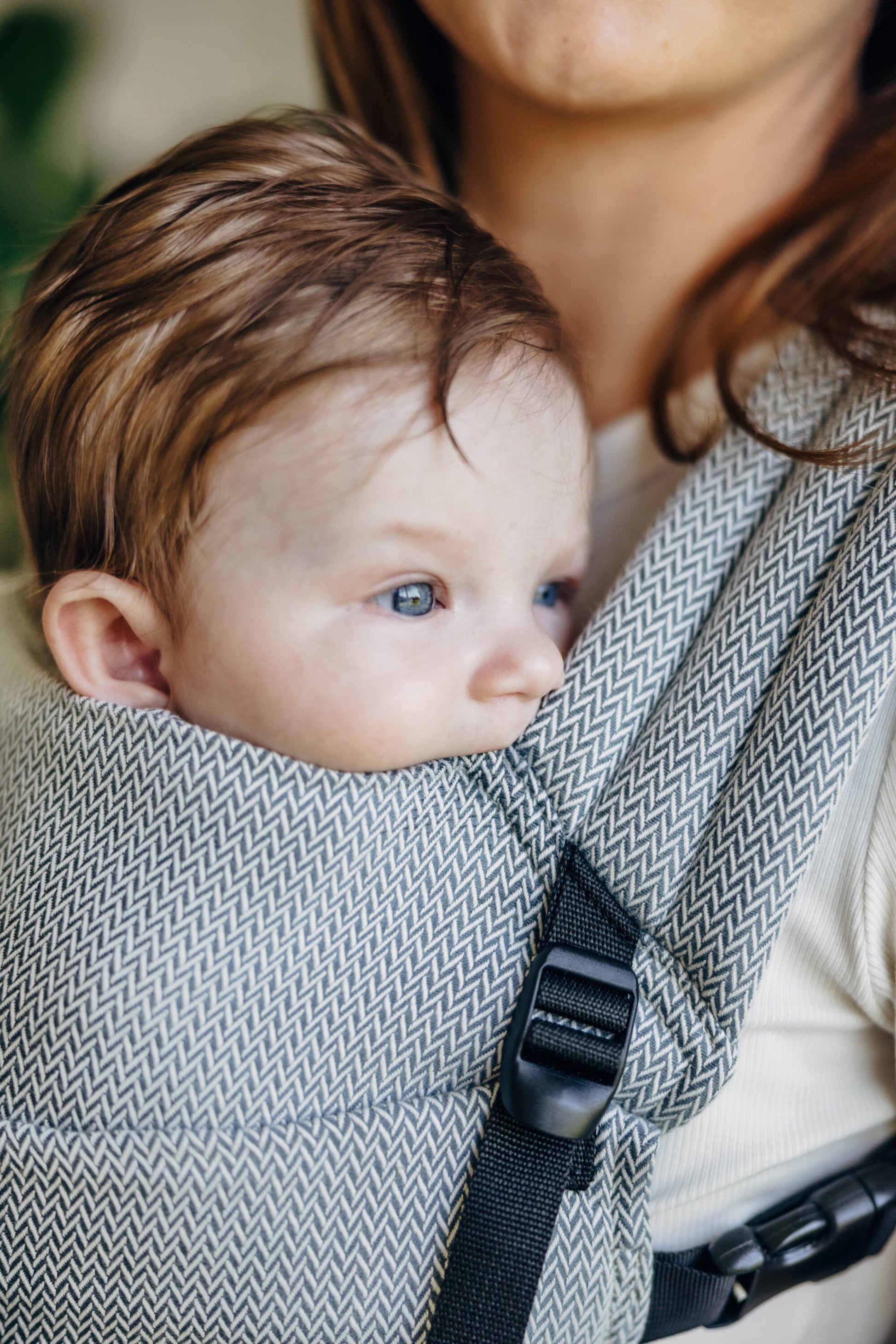 lennylamb lennylight baby carrier bärsele